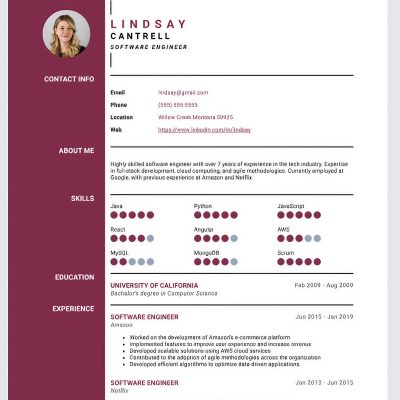 Elegant Nexit Recruitment CV writing