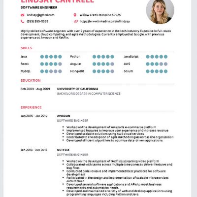 Vivid Nexit Recruitment CV writing